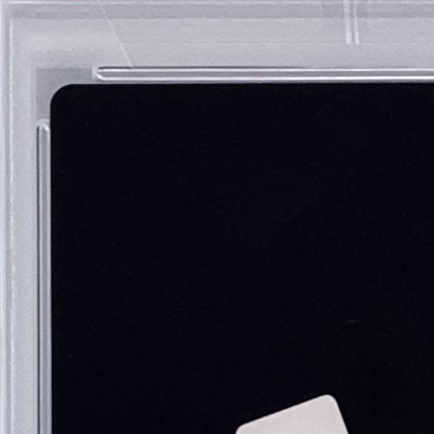 【PSA10】　22-010L　セルフィ