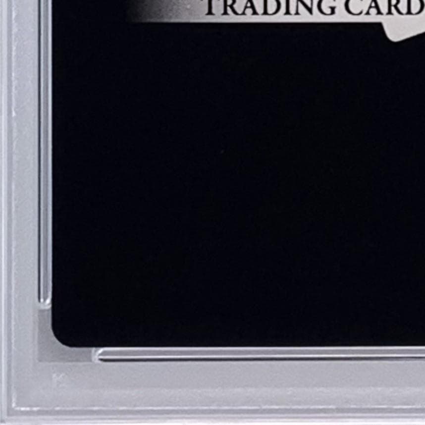 【PSA10】　22-010L　セルフィ