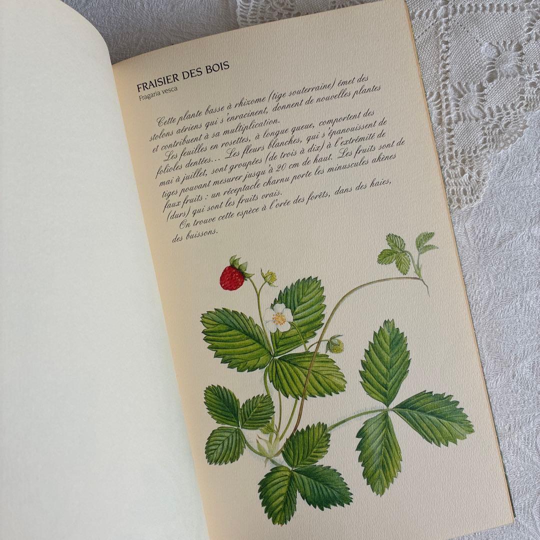【希少・美品】1990年 美しいフランス植物図鑑　ナタン社　NATHAN