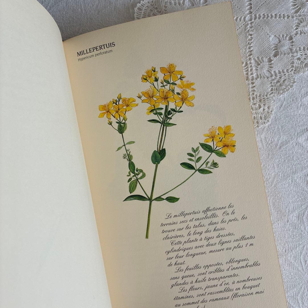 【希少・美品】1990年 美しいフランス植物図鑑　ナタン社　NATHAN