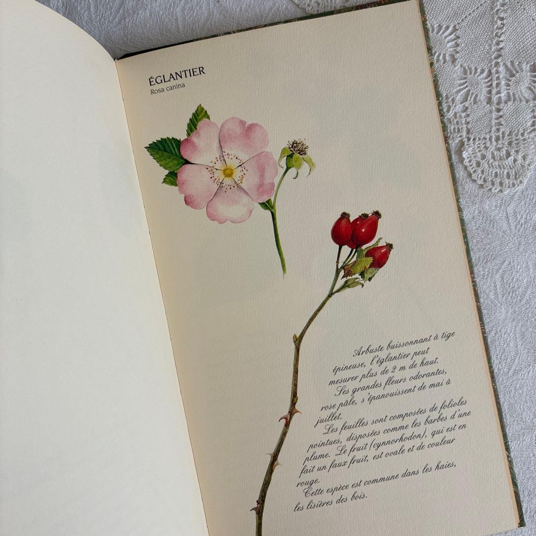 【希少・美品】1990年 美しいフランス植物図鑑　ナタン社　NATHAN