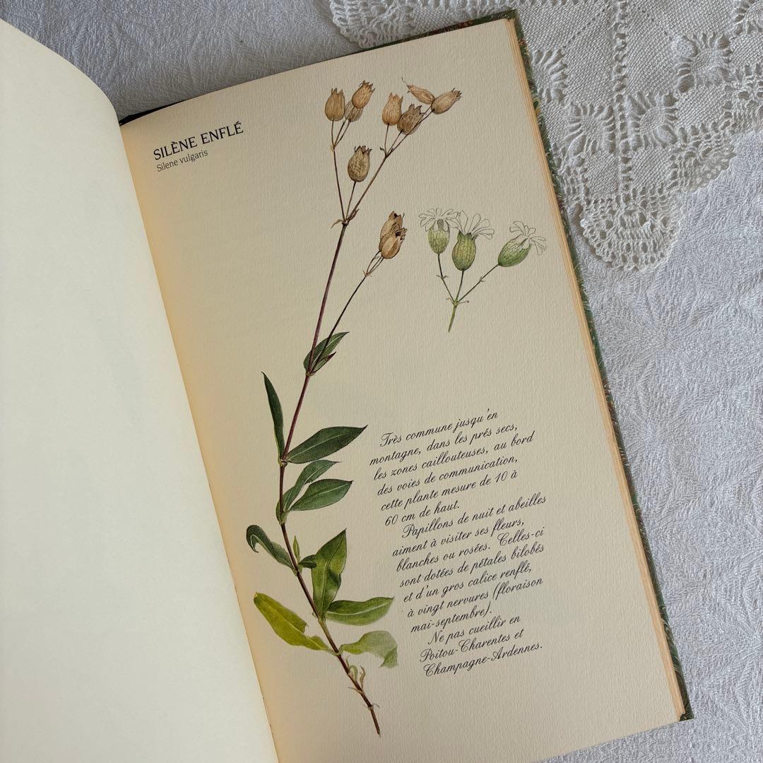 【希少・美品】1990年 美しいフランス植物図鑑　ナタン社　NATHAN