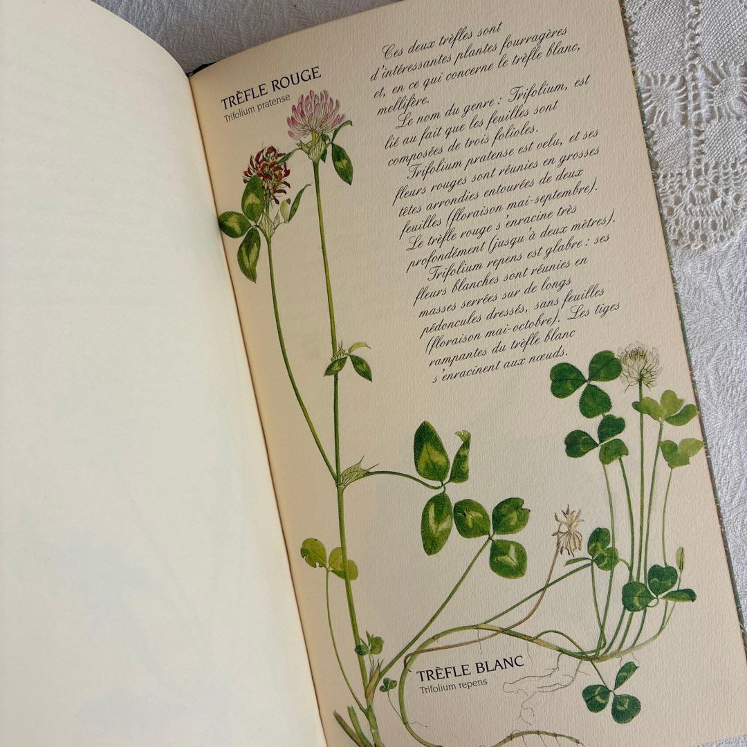 【希少・美品】1990年 美しいフランス植物図鑑　ナタン社　NATHAN
