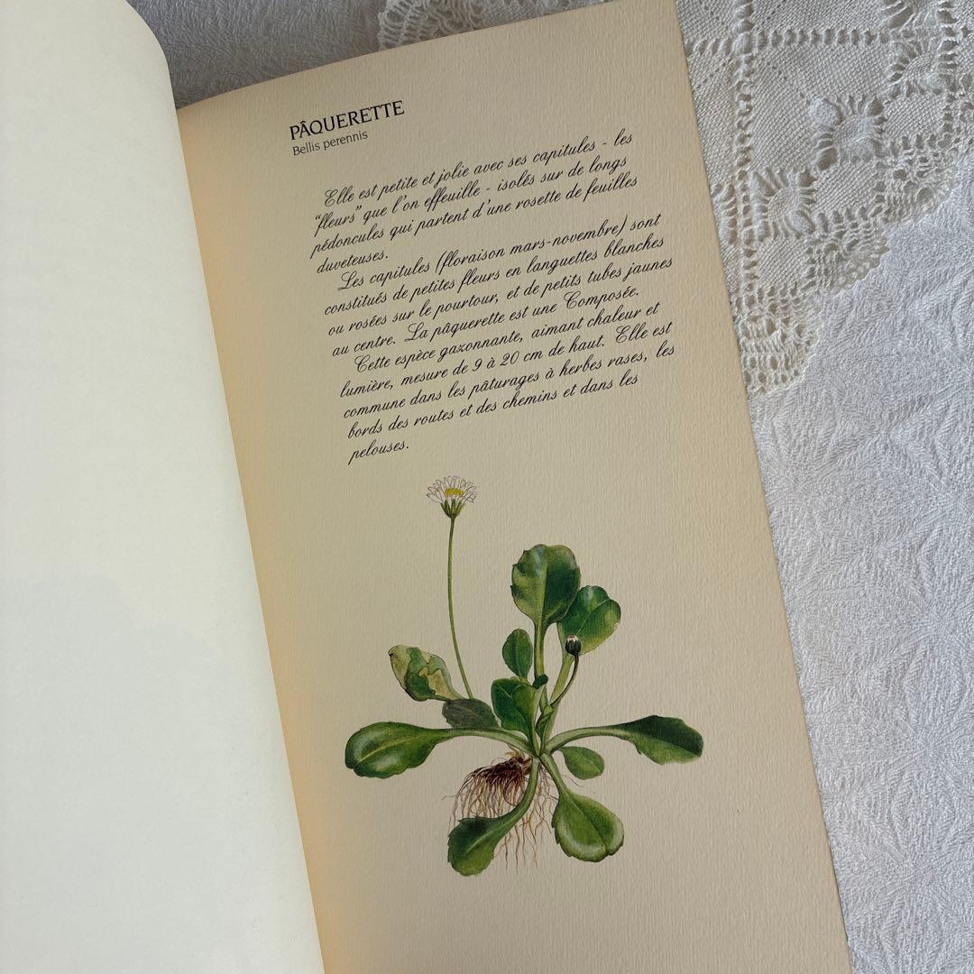 【希少・美品】1990年 美しいフランス植物図鑑　ナタン社　NATHAN
