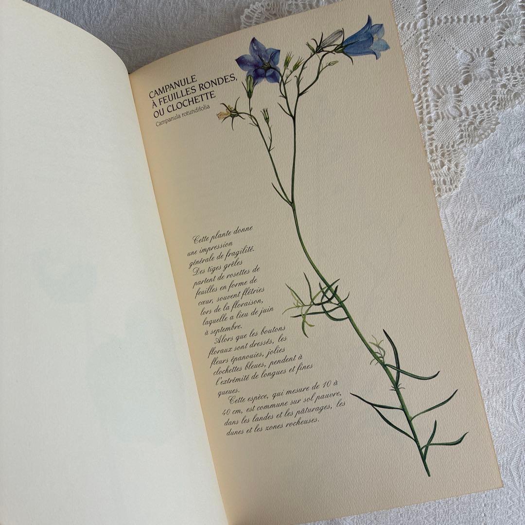 【希少・美品】1990年 美しいフランス植物図鑑　ナタン社　NATHAN