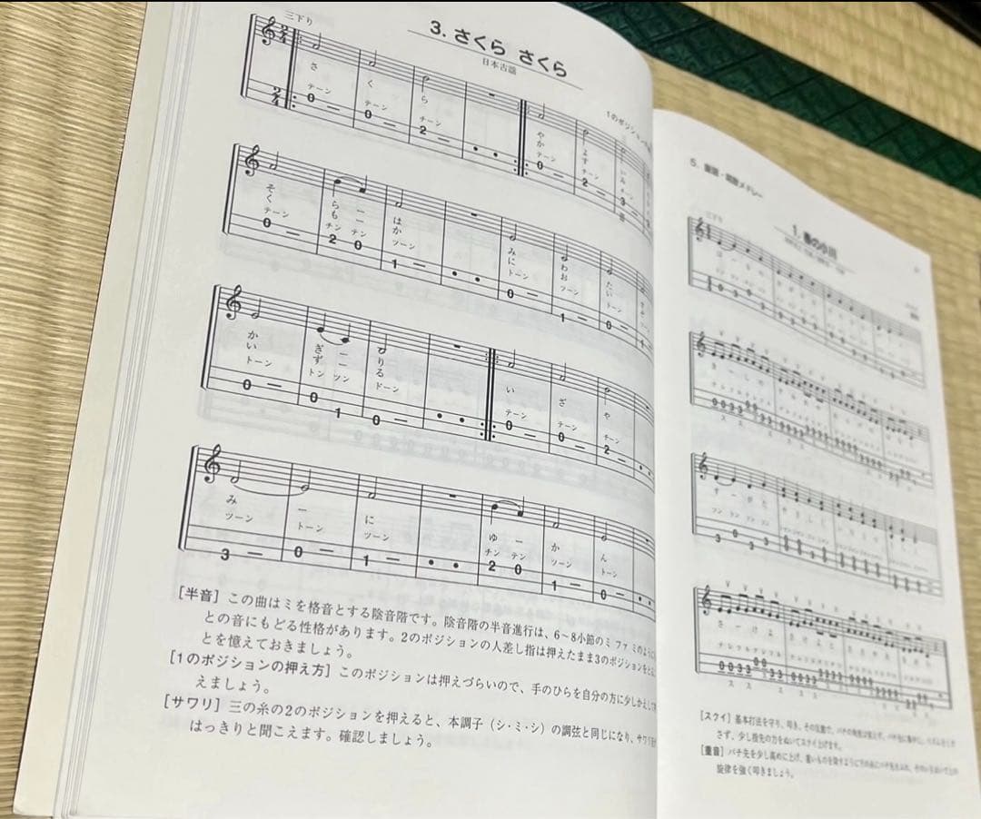 津軽三味線 入門・初心者用一式セット 届いてすぐに演奏可能
