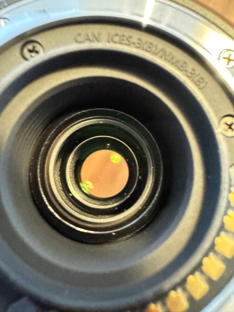 LUMIX G VARIO 45-200mm F4.0-5.6 ズームレンズ