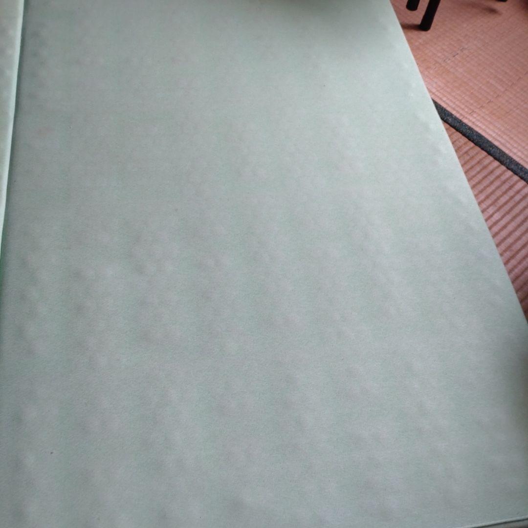 ヘルスウェーブゴールドD.Cバージョン すややか デラックス（シングル）