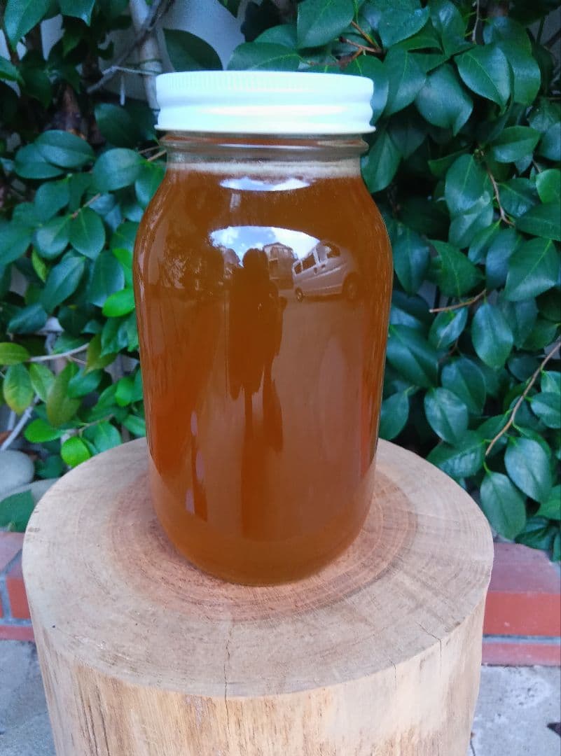 ニホンミツバチはちみつ南国土佐の百花蜜　無添加　無加工　1170g