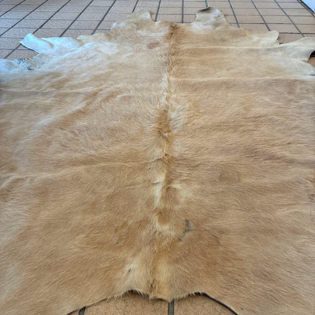 は*ろ様 白熊 毛皮 美品