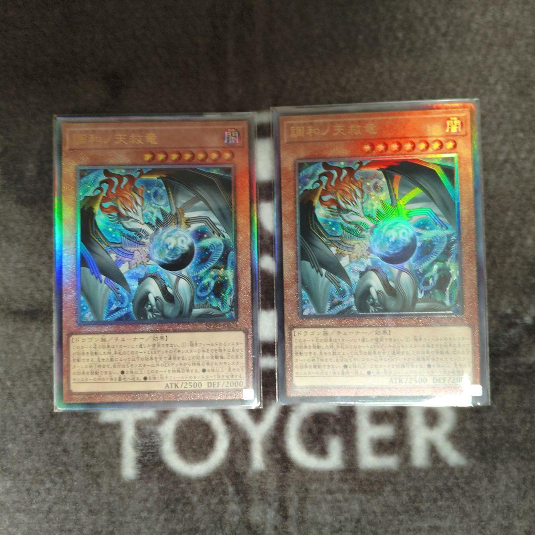 調和ノ天救竜 レリーフ 2枚