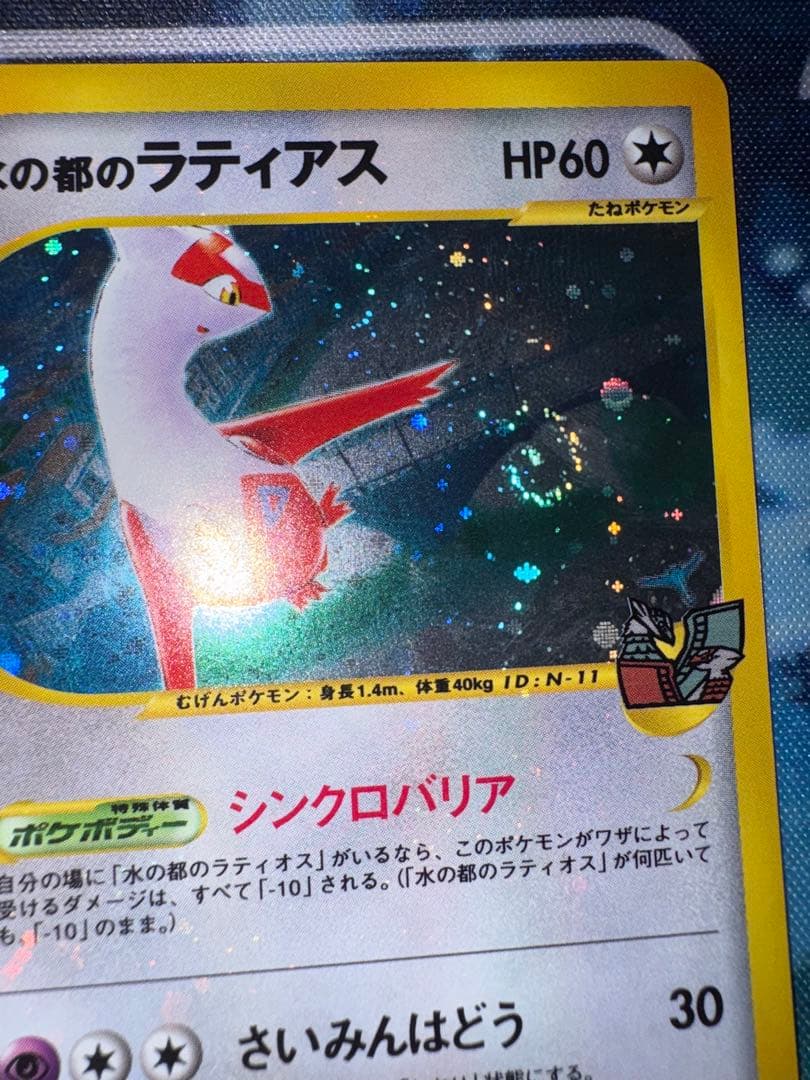 確認用（購入された場合ウォンバットのお写真送ります）