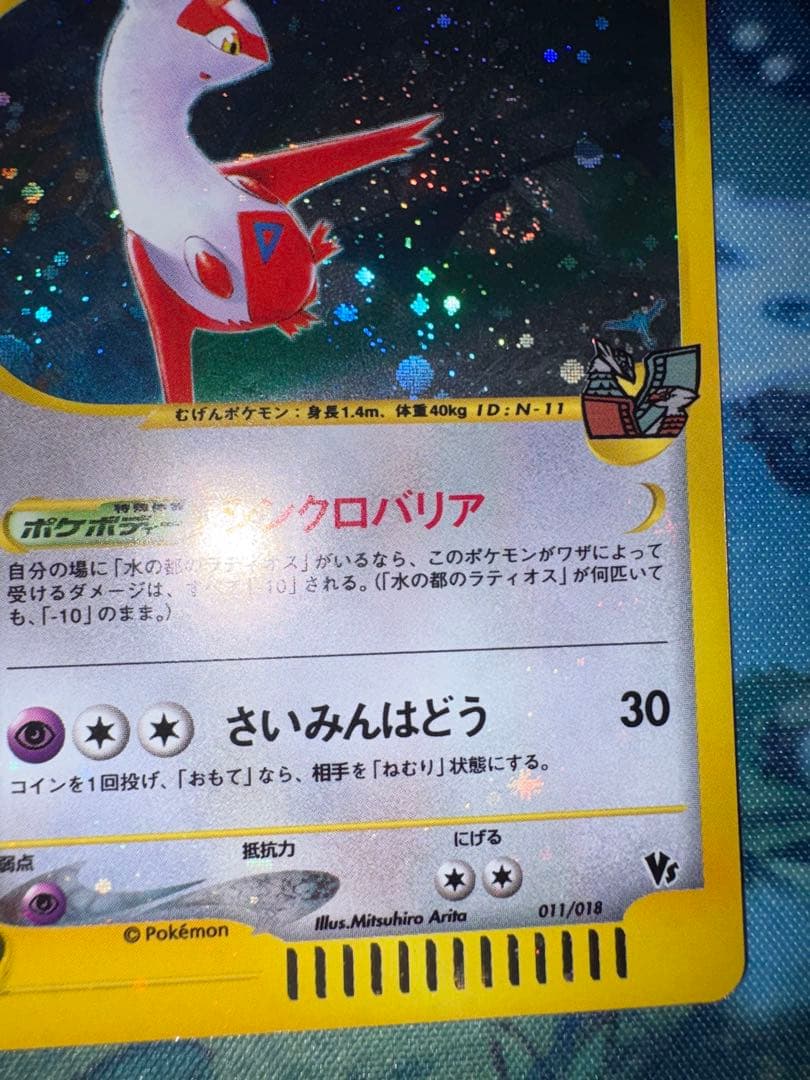 確認用（購入された場合ウォンバットのお写真送ります）