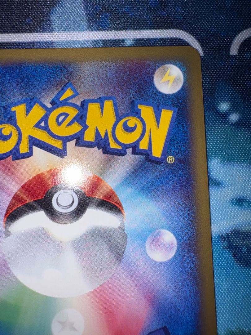 確認用（購入された場合ウォンバットのお写真送ります）