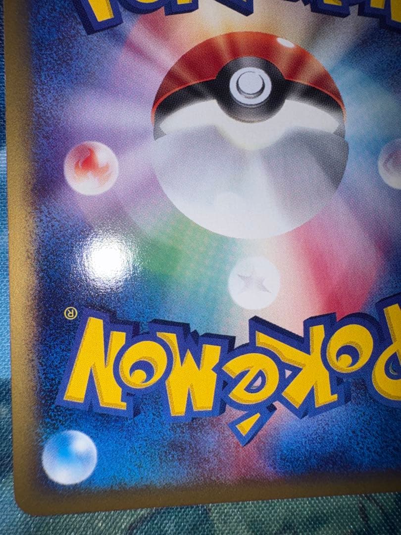 確認用（購入された場合ウォンバットのお写真送ります）