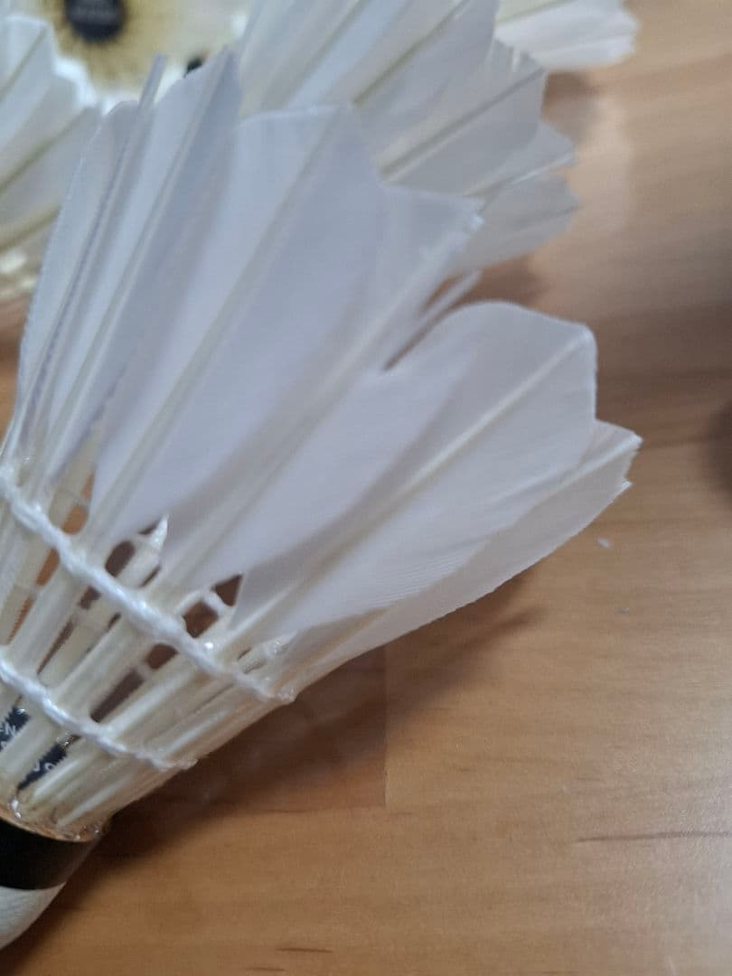 GOSEN バドミントン セミシャトル GFN120 10ダース