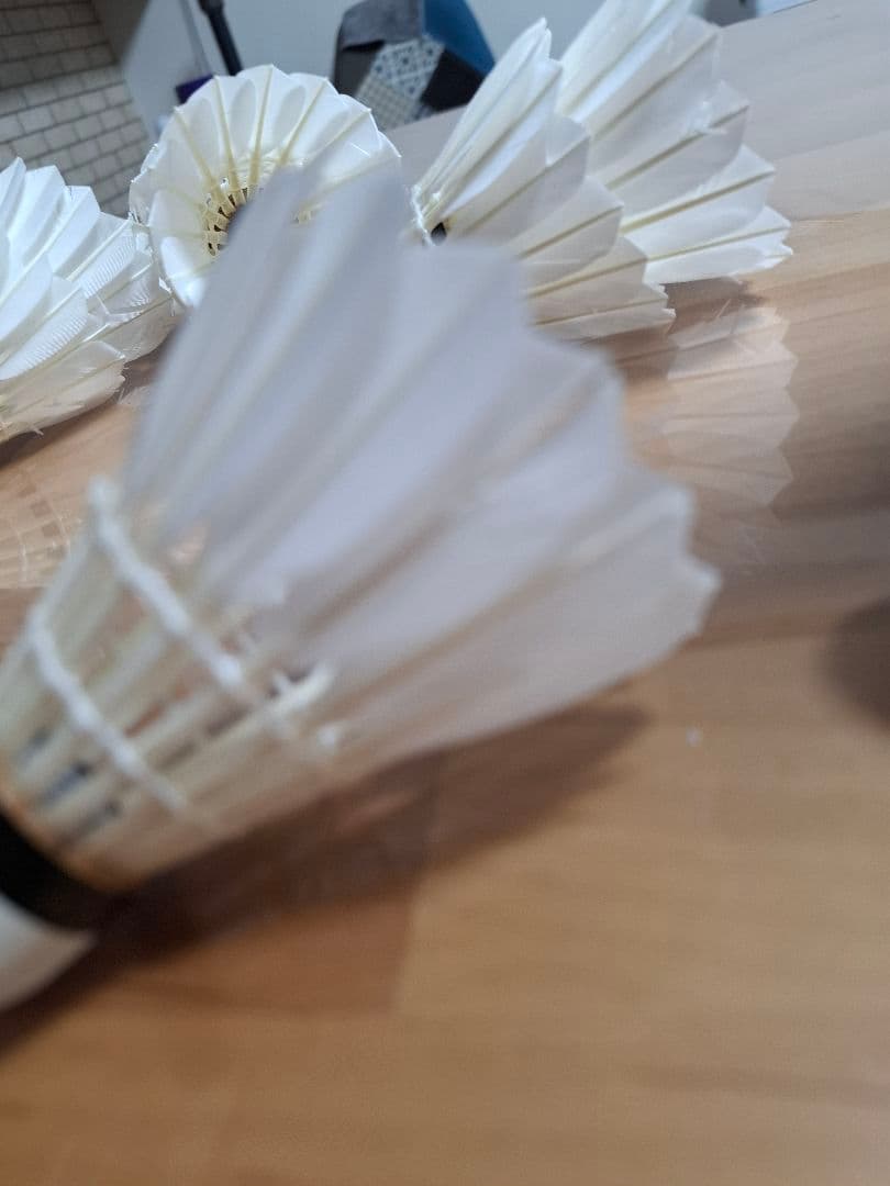 GOSEN バドミントン セミシャトル GFN120 10ダース