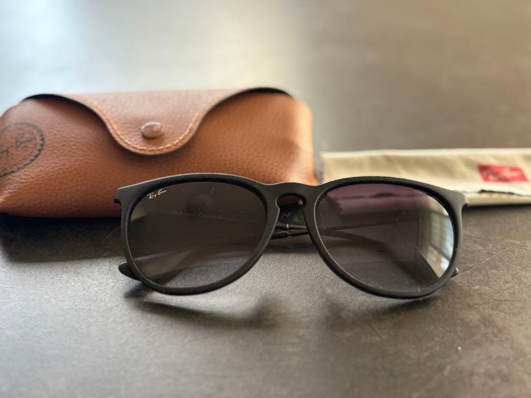 Ray-Ban ERIKA 622/8G サングラス