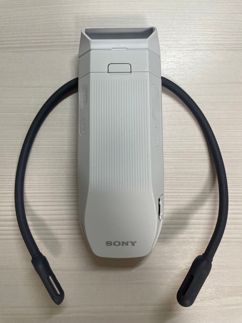 レオンポケットプロ　RNPK-P1T ウェアラブルサーモデバイス　ソニー