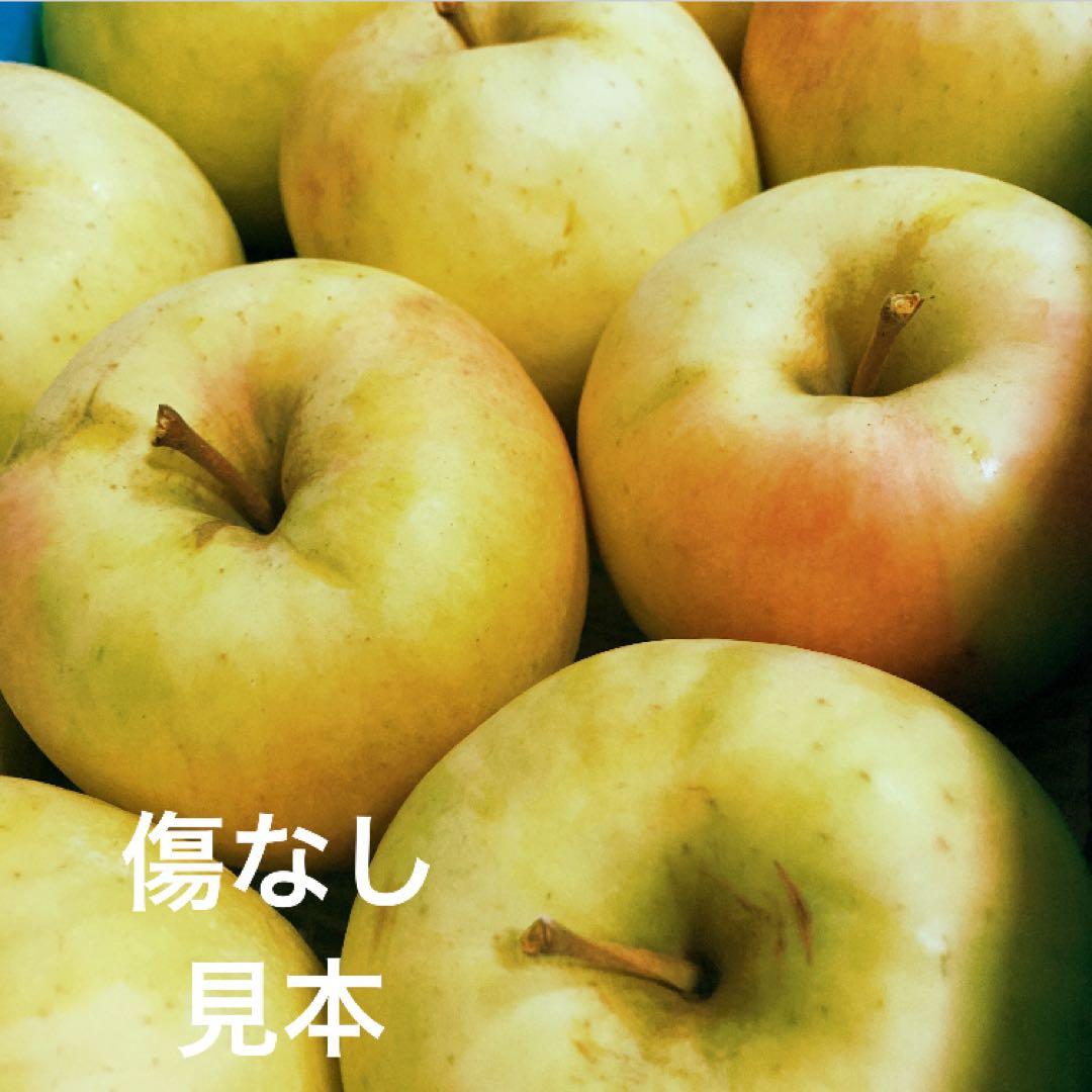 Ryu② ぐんま名月傷なし7kg×2