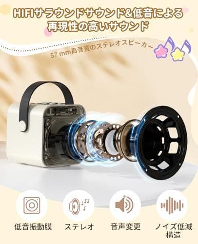 カラオケマイク Bluetoothマイク２本 日本語取扱説明書付き