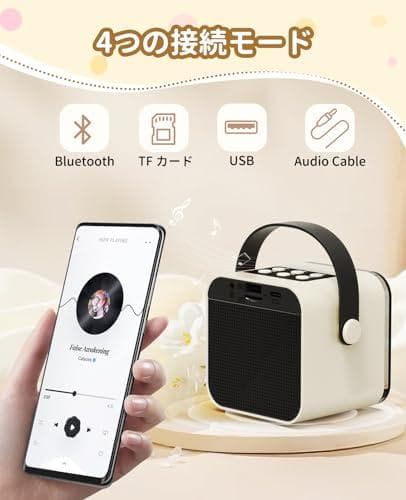 カラオケマイク Bluetoothマイク２本 日本語取扱説明書付き