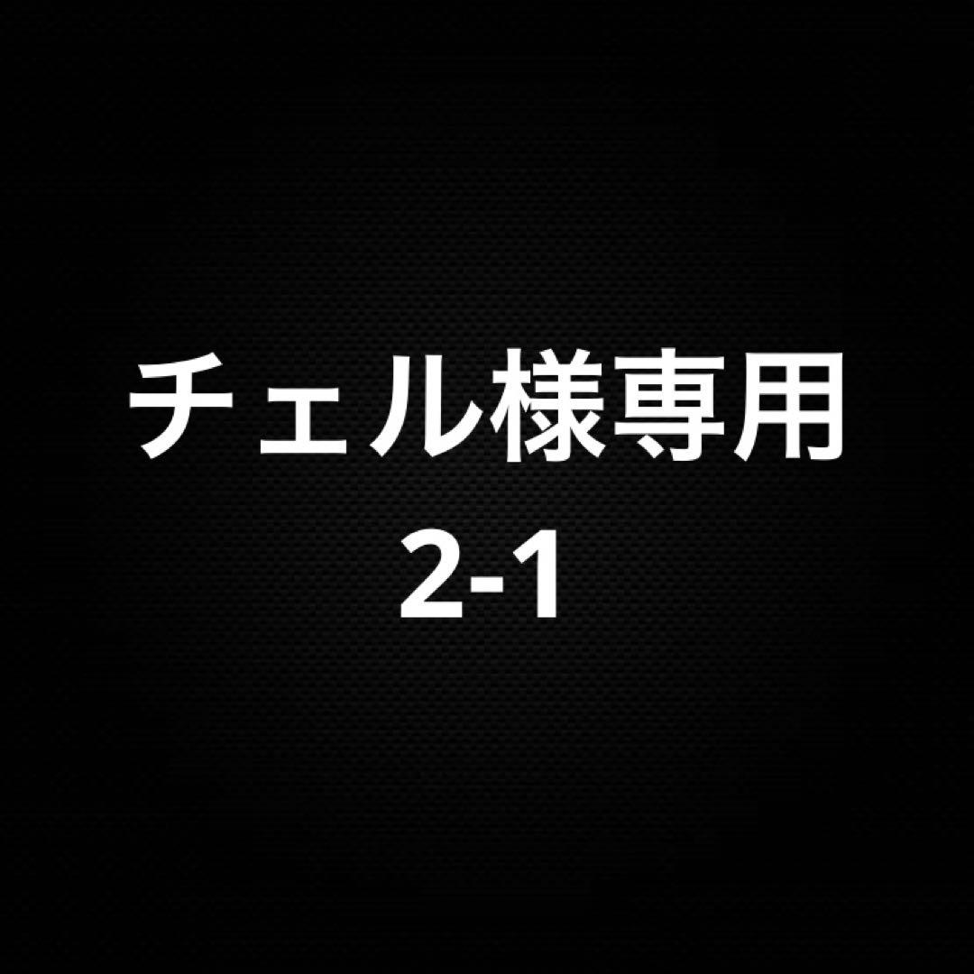 チェル 2-1