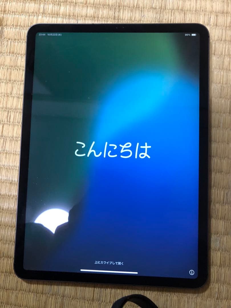 Apple iPad pro 11インチ 第1世代 本体 256GB