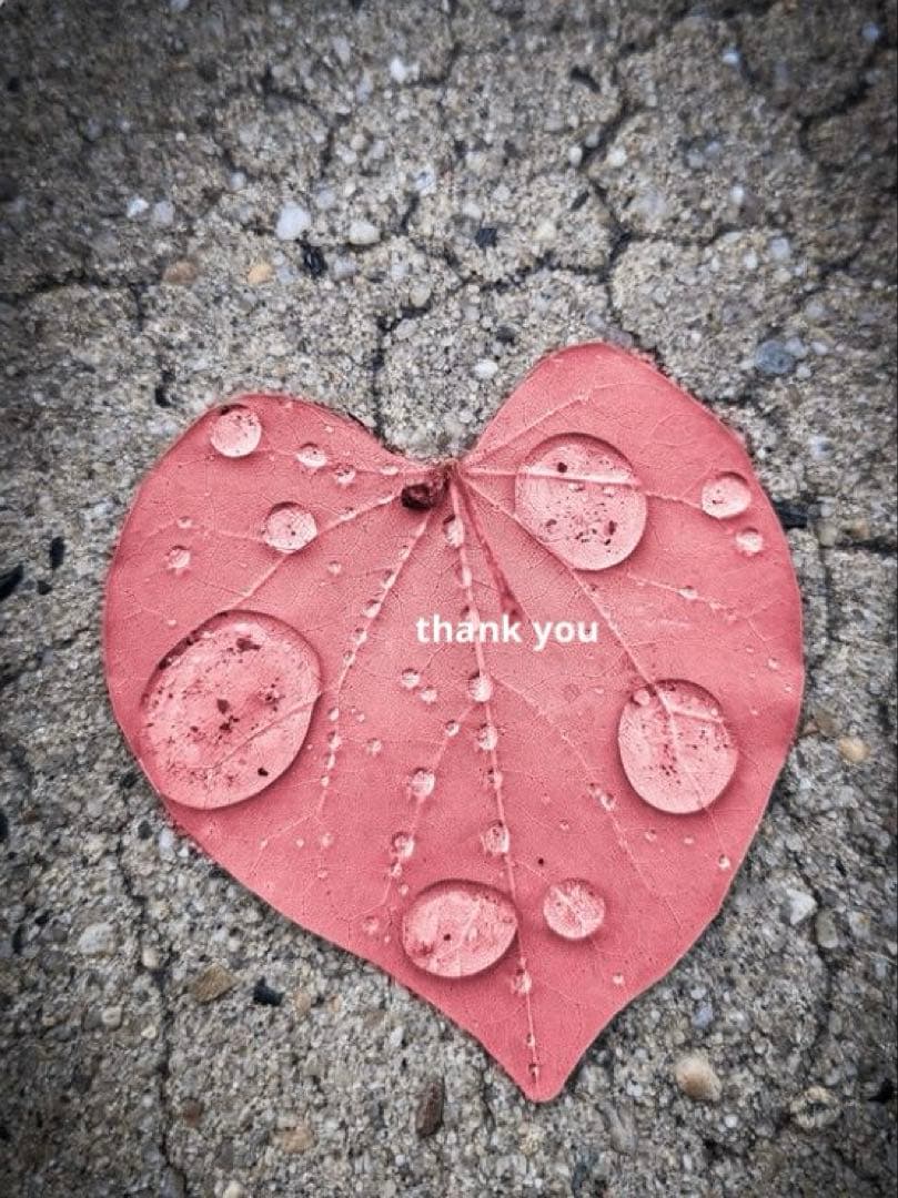 88Meromero様 リクエスト 5点 まとめ商品