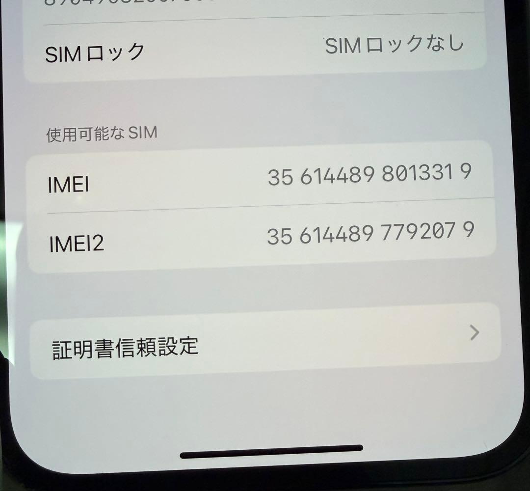 iPhone 13 Pro シエラブルー 本体 256GB＋充電器