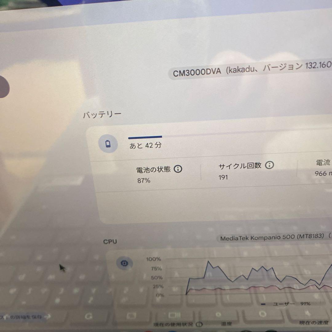 【動作確認】Chromebook クロームブック（CM3000DV）