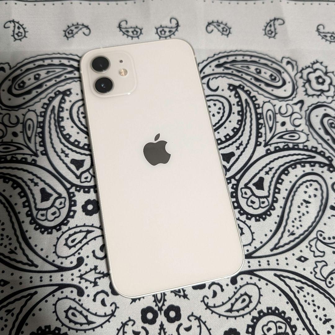 Apple iPhone 12 256GB SIMフリー 美品 大容量&高性能