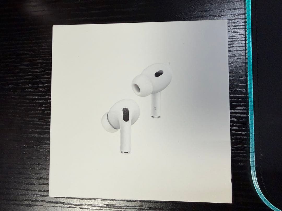 AirPods Pro２ Lightning　Aulumu A19 ケース