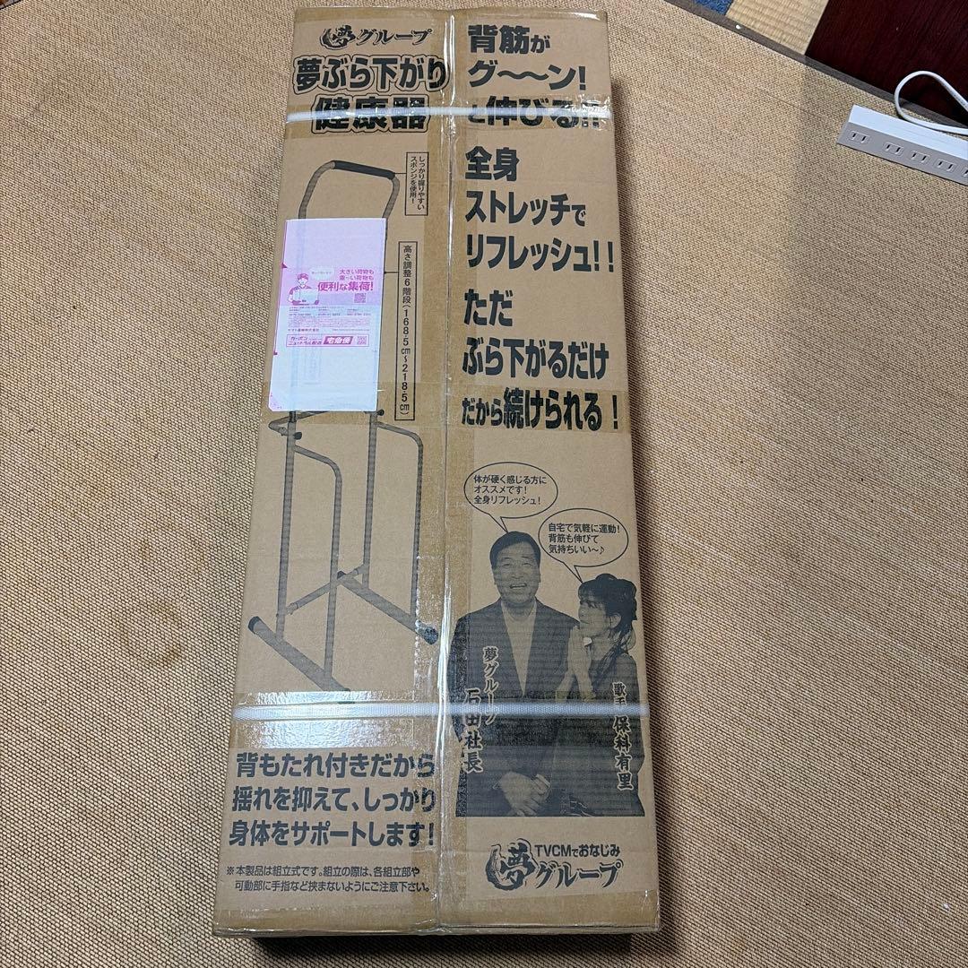 ぶら下がり健康器 背もたれ付き 6段階調整 夢グループ