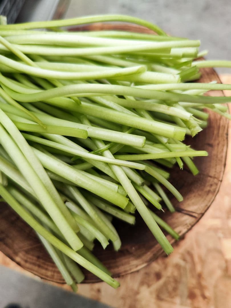 【別注】4kg ご注文後に収穫！ 安曇野産 生わさびの太茎 わさび 茎