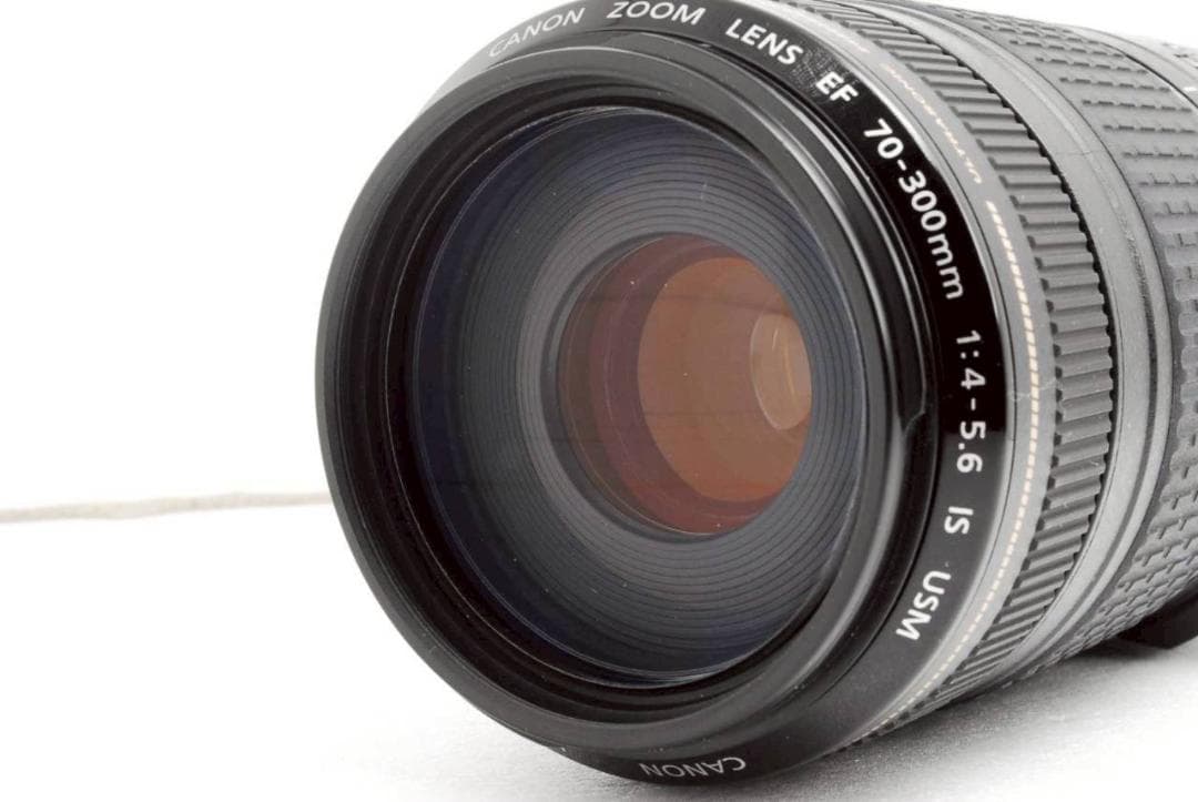 Canon EF 70-300mm F4-5.6 IS USM ✨ 超望遠レンズ