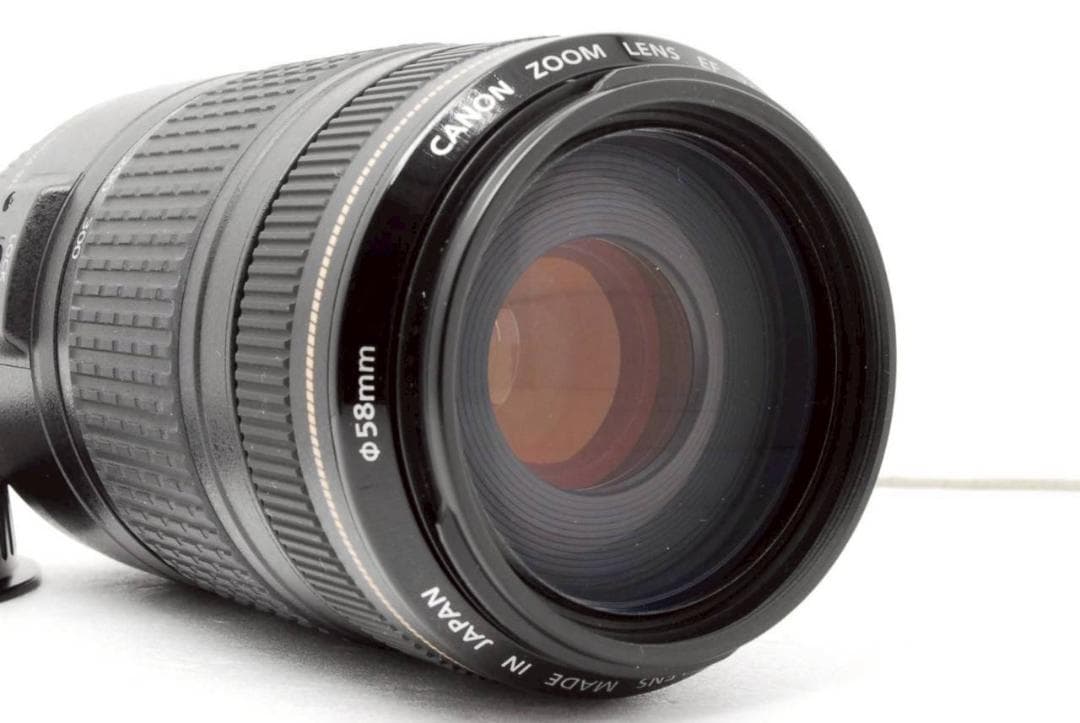 Canon EF 70-300mm F4-5.6 IS USM ✨ 超望遠レンズ