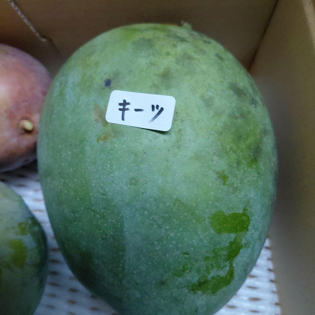 追熟型①と②　色々マンゴー食べ比べセット