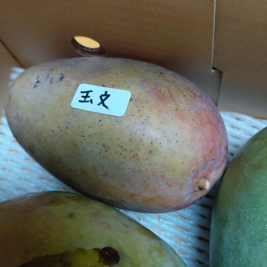追熟型①と②　色々マンゴー食べ比べセット