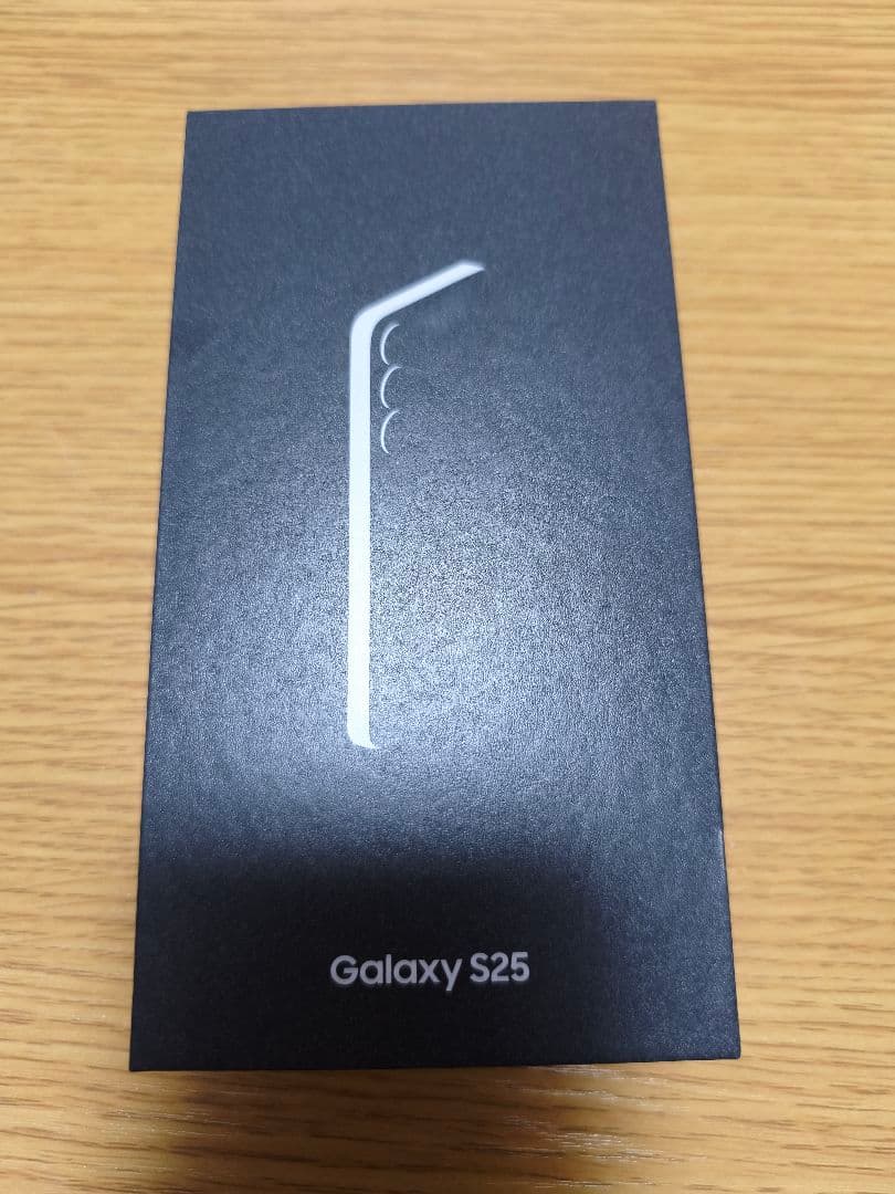 Samsung Galaxy S25 本体 グラデーションシルバー