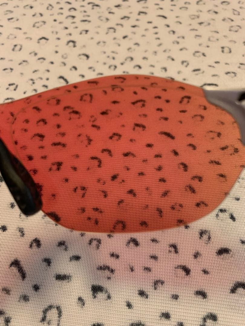 OAKLEY EVZERO SWIFT 009410-0538サングラスシルバー