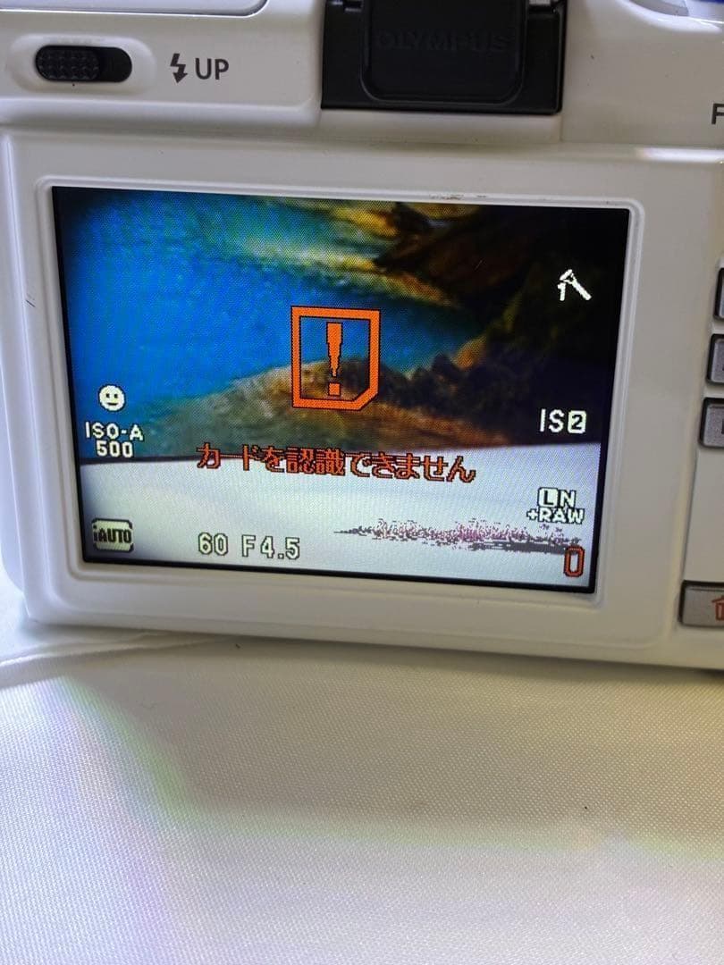 Olympus PEN E-PL1s ミラーレスカメラ コンパクト 軽量 カメラ