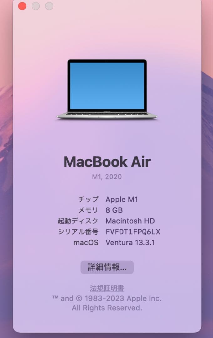 Apple MacBook Air M1 (8GB、1TB)