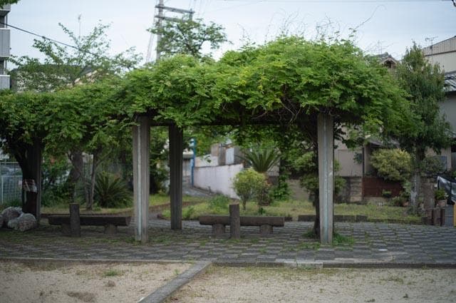 【オールドレンズ】Super Takumar 55mm f1.8 後期