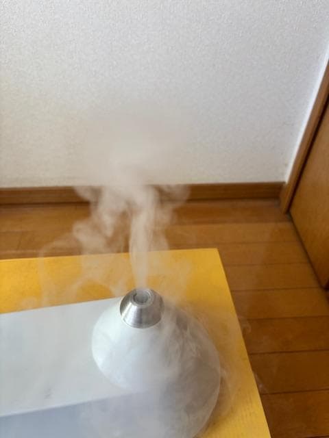 エペイオス (Epeios) 加湿器 FoElem Heal HM501A