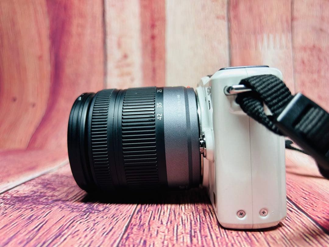 Panasonic パナソニック LUMIX DMC-GF2 レンズセット