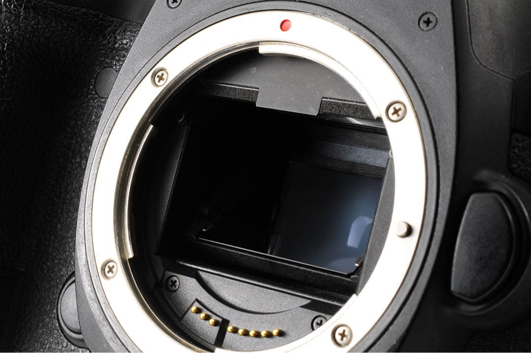 ◆シャッター回数:16,800回◆ Canon EOS 5D Mark IV