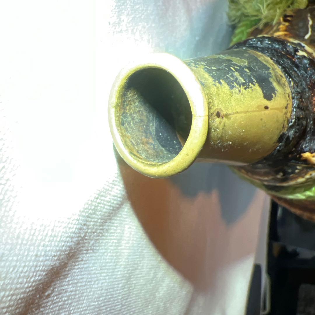 法螺貝　自然な巻貝装飾品 約34cm