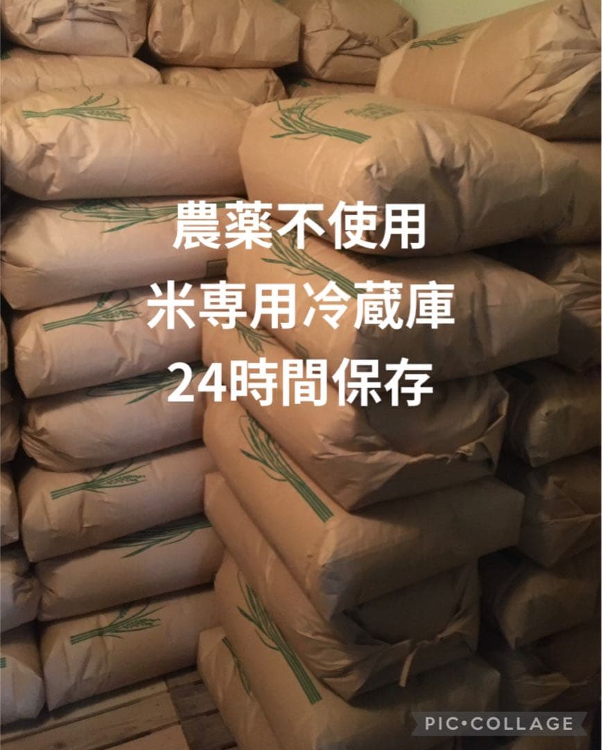 あきたこまち 10kg ×2 農薬不使用 玄米国産 農家直送 美容健康 安心安全