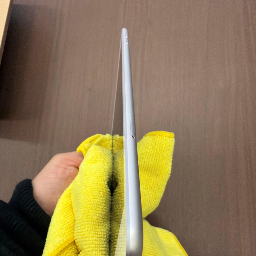 Apple iPad mini５Wifi+Cellular 64GB シルバー